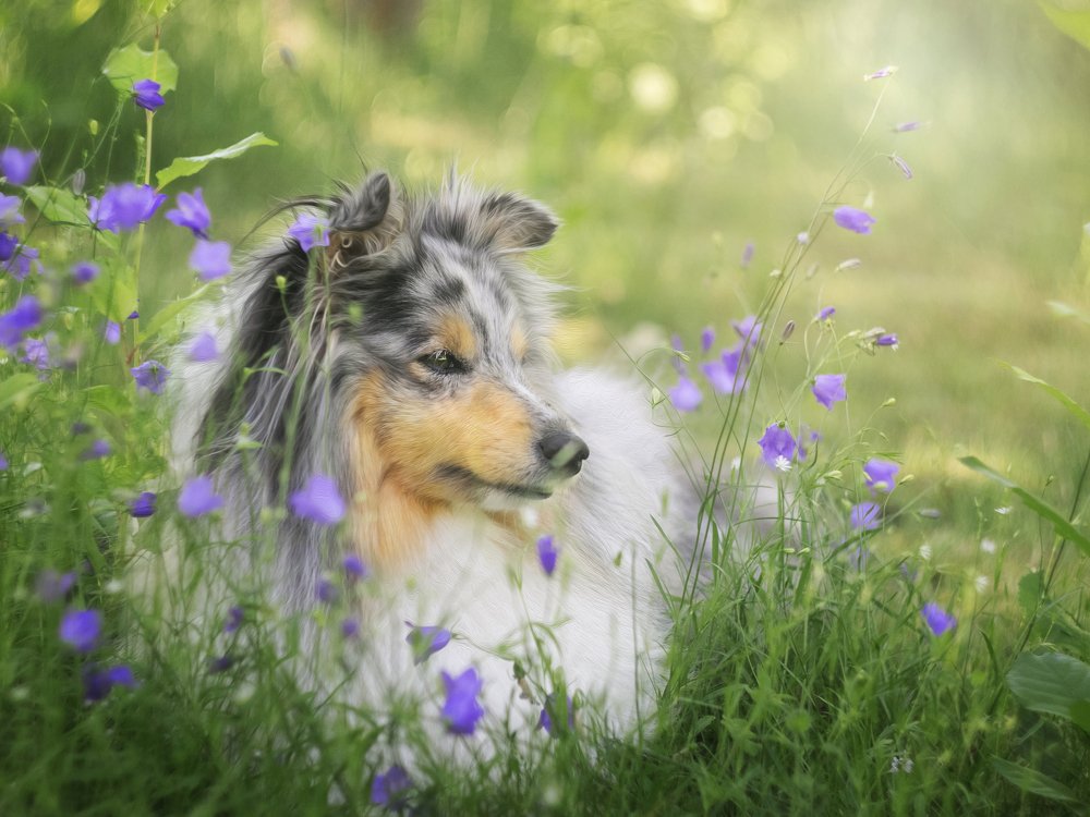 Photograph by Anna Sindikayeva