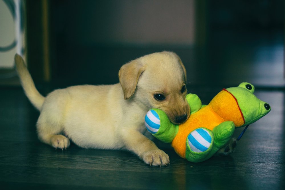 Photograph by Дубинин Сергей