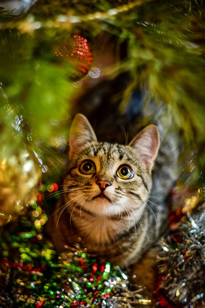 Photograph by Анастасия Донская