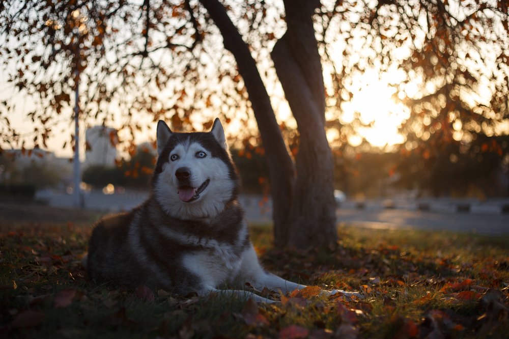 Photograph by Ирина Голомако
