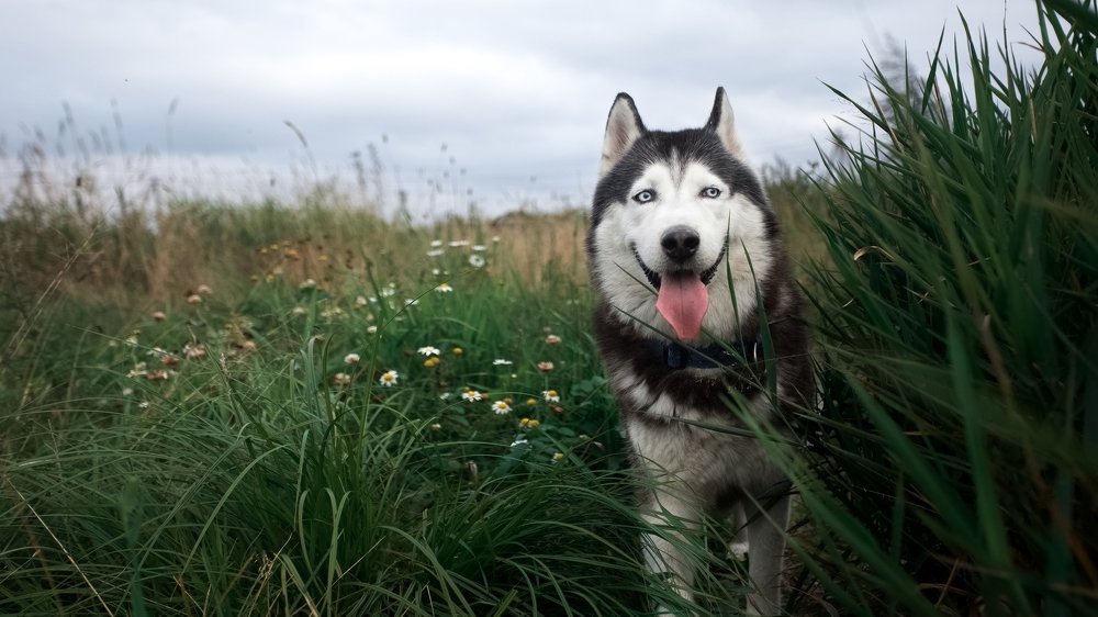 Photograph by Ирина Голомако