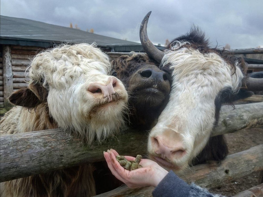 Фотография автора Валентина Рихмаер