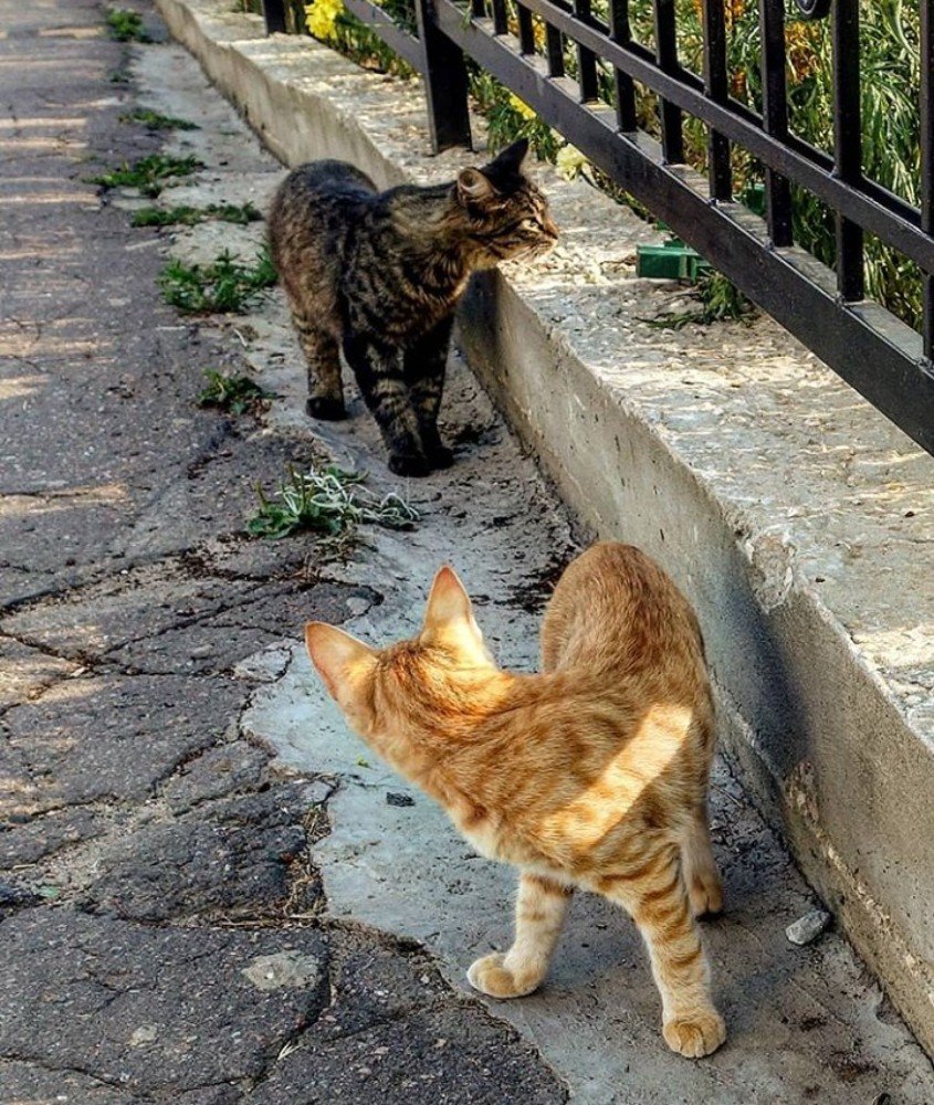 Фотография автора Валентина Рихмаер