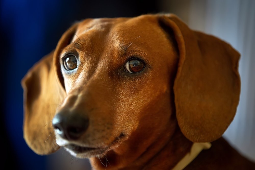 Photograph by Владимир Салапонов