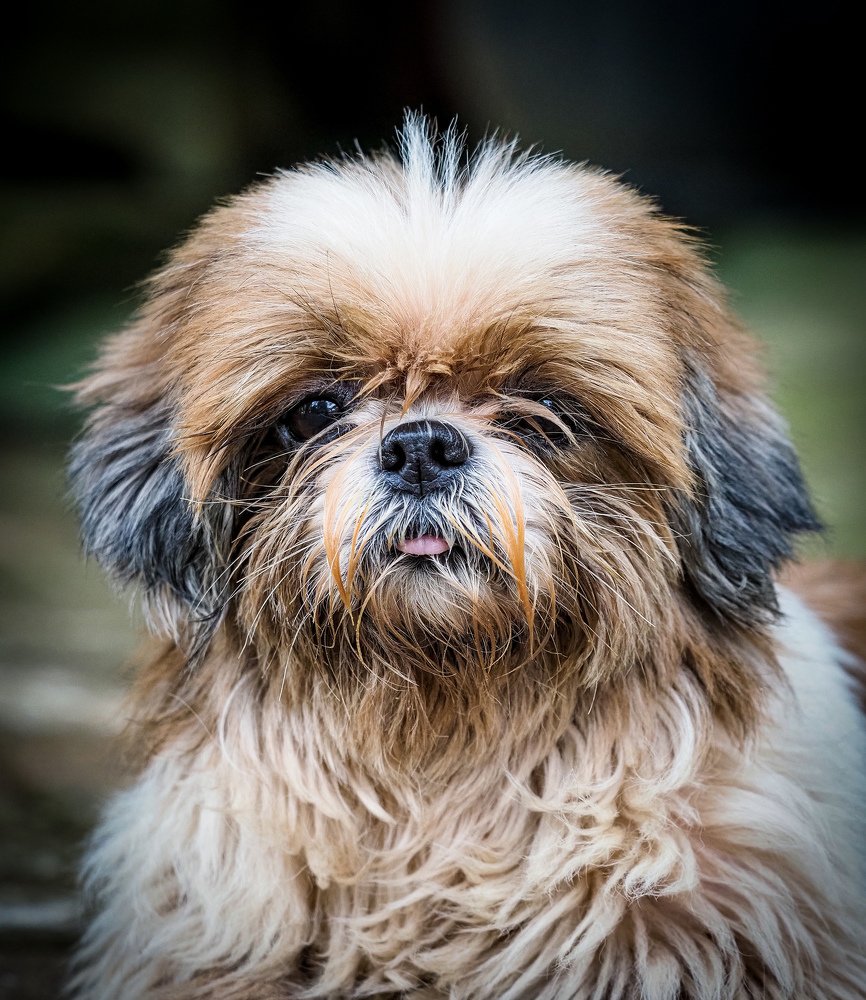 Photograph by Endra Agust