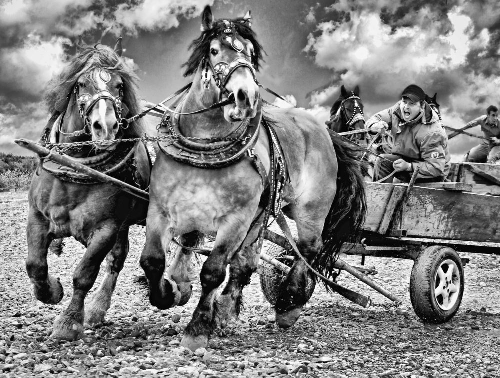 Photograph by Magdalena Kolenicova