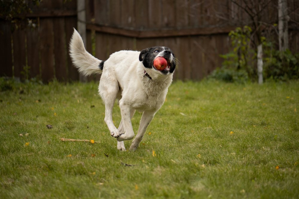 Photograph by Людмила Кузьменко