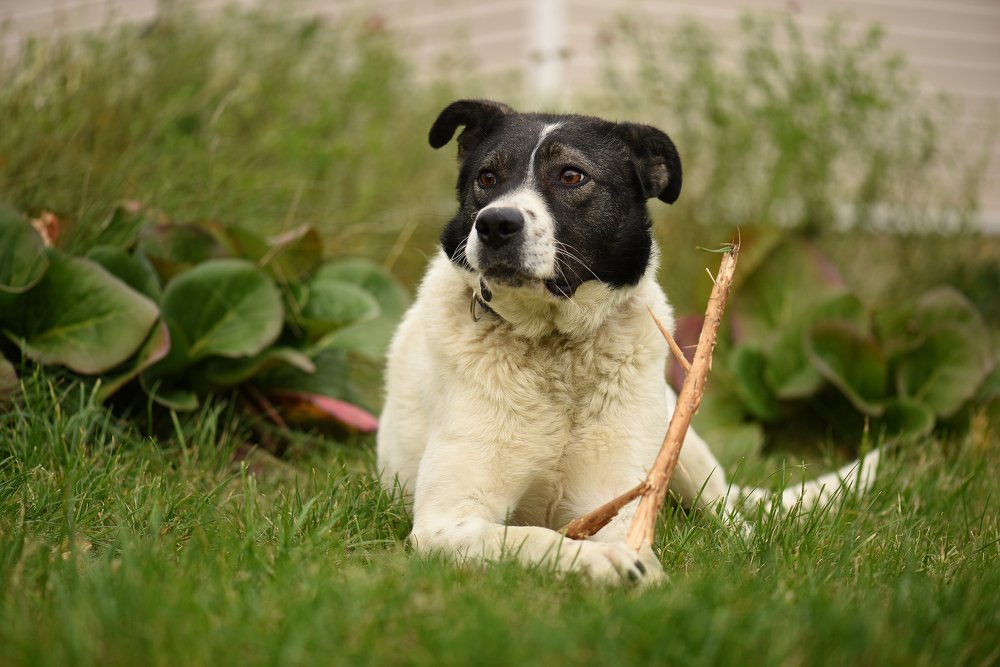 Photograph by Людмила Кузьменко