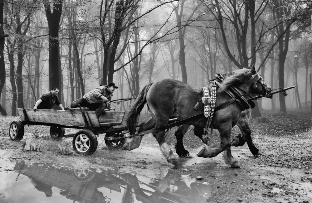 Photograph by Magdalena Kolenicova