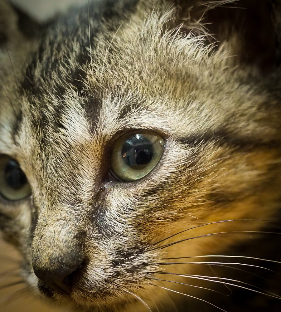 Photograph by Endra Agust