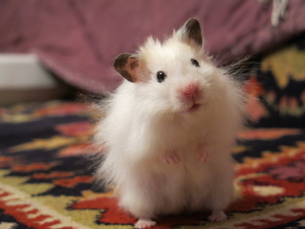 Photograph by ЭЛЬМИРА  ИСМАИЛОВА