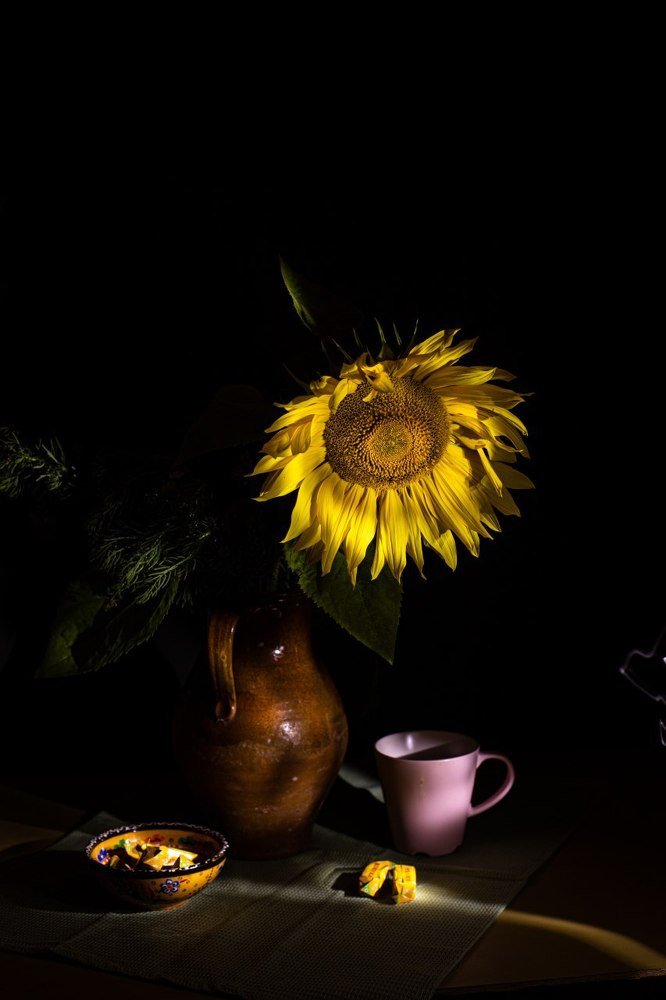 Солнечный цветок