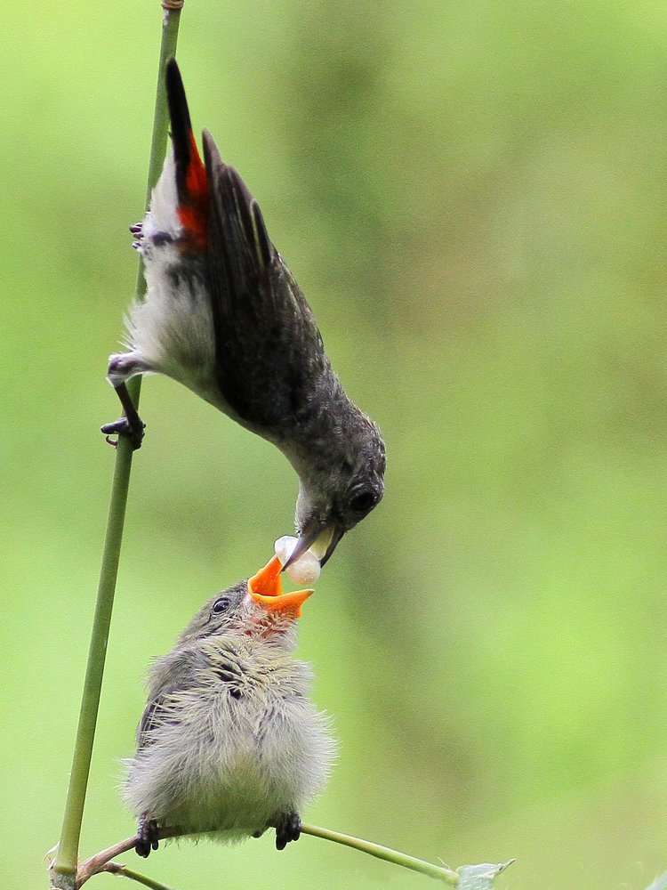 Photograph by nguyên trương