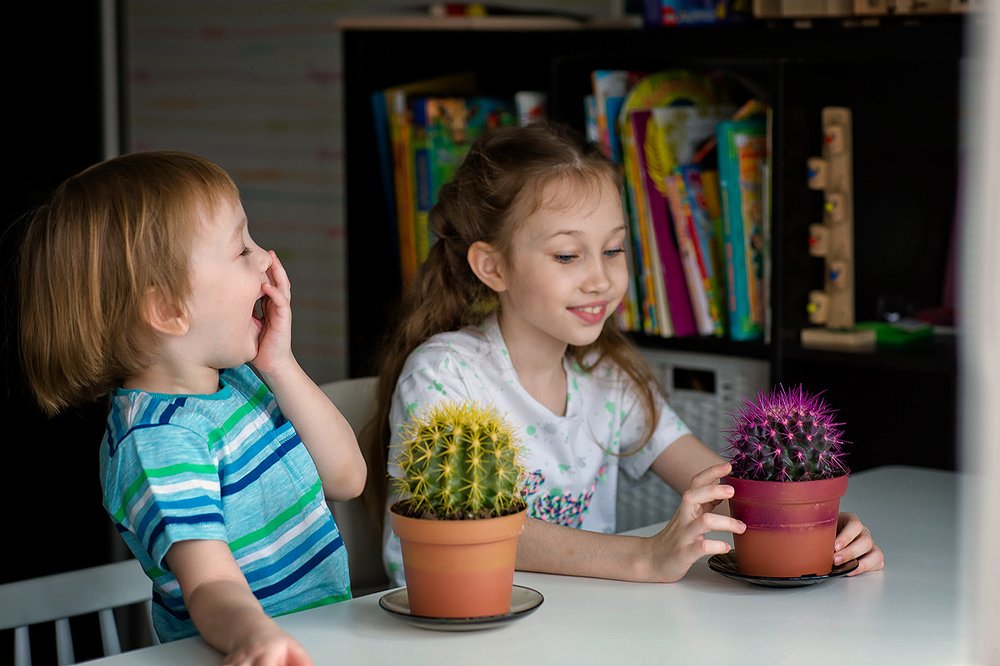 Photograph by Максимова Ольга Васильевна