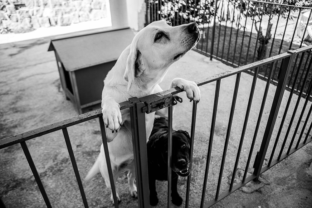 Photograph by Raffaella De Luise