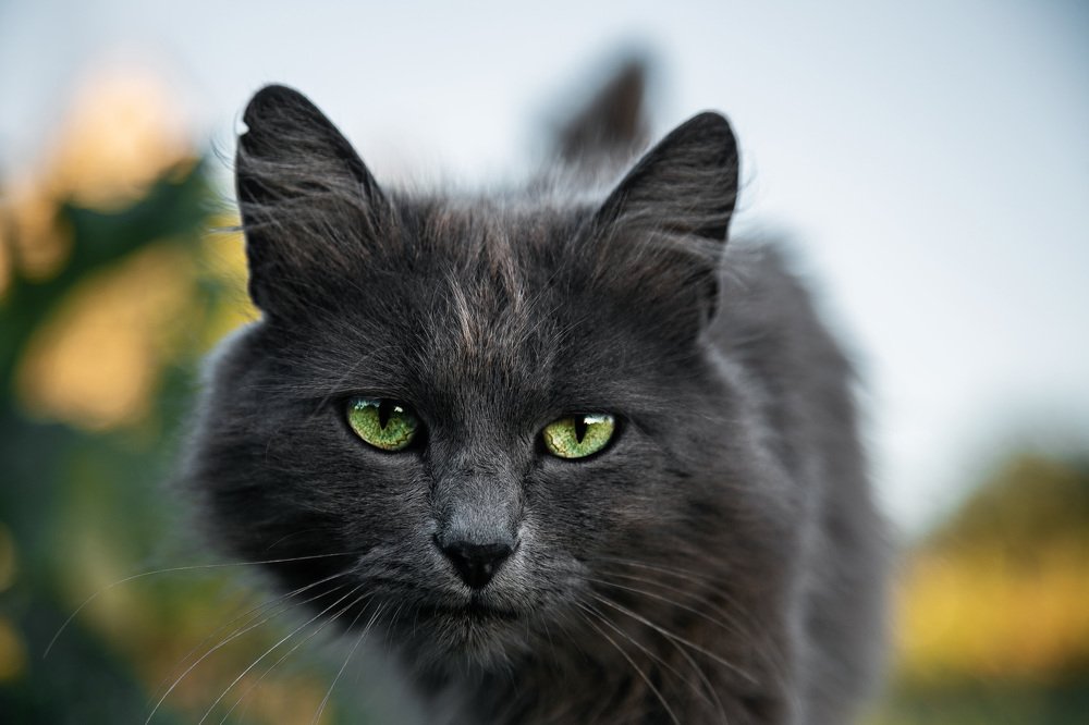 Photograph by Антон Кривошейцев