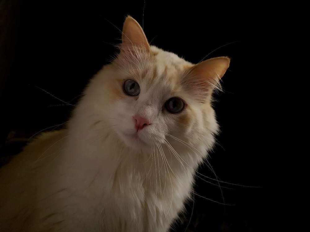 Photograph by Янина Рейфер