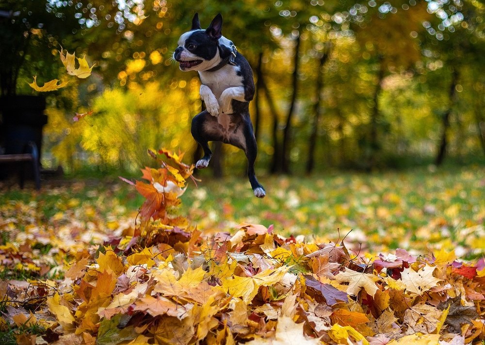 Photograph by Юлия Калугина