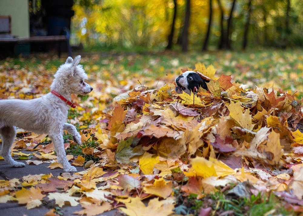 Photograph by Юлия Калугина
