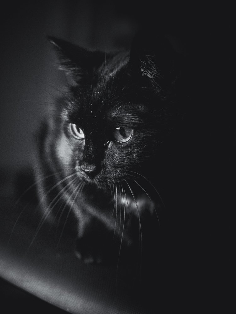 Photograph by 