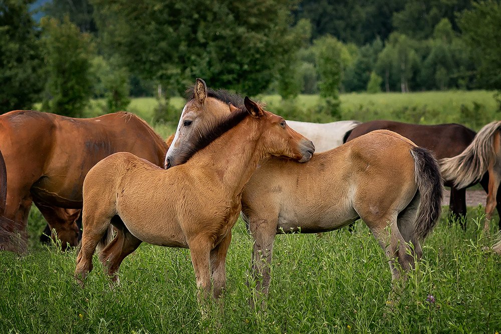 Photograph by Максимова Ольга Васильевна