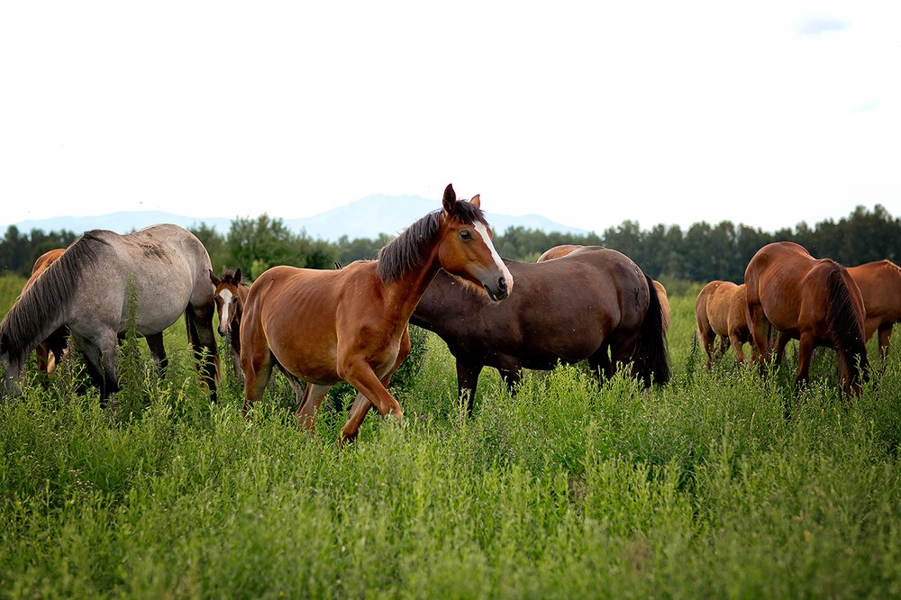 Photograph by Максимова Ольга Васильевна