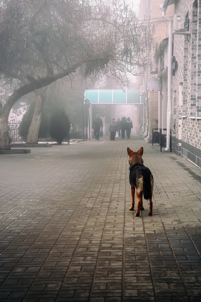 Photograph by Виталий Павлов