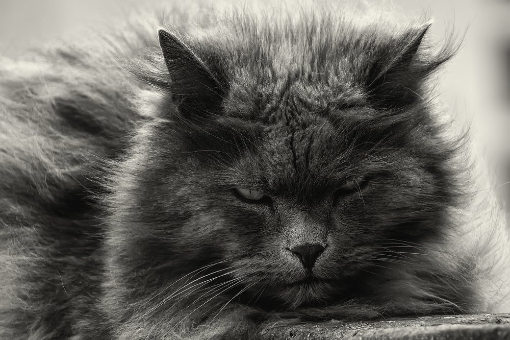 Photograph by Виталий Павлов