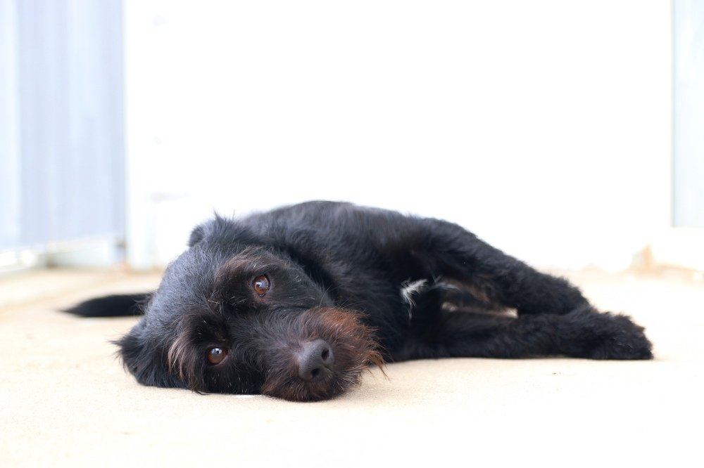 Photograph by Светлана Бевза