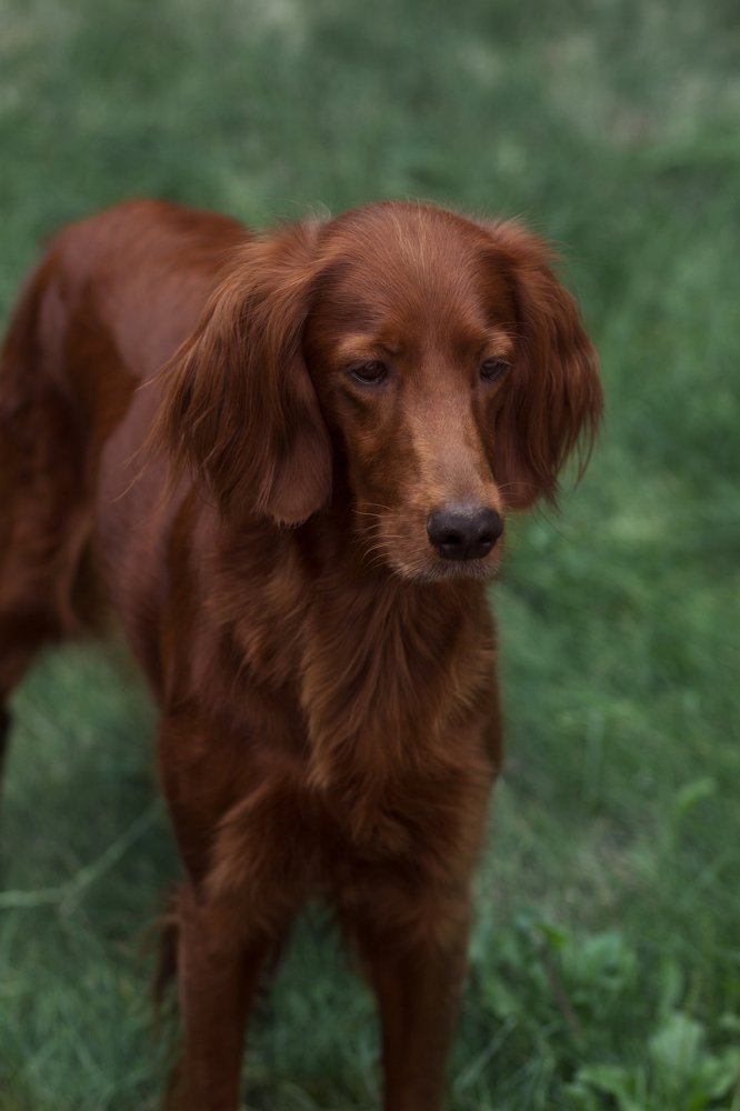 Фотография автора Александр Костенко