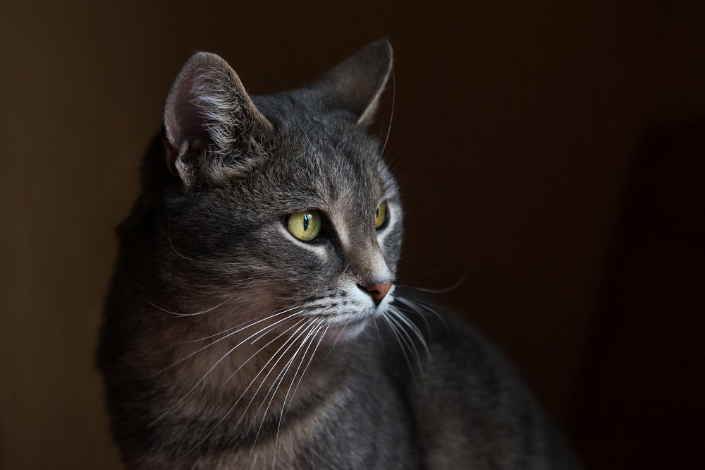 Photograph by Дина Горбачёва