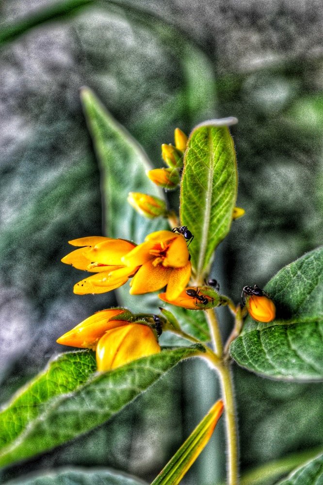 Photograph by Евгения Д