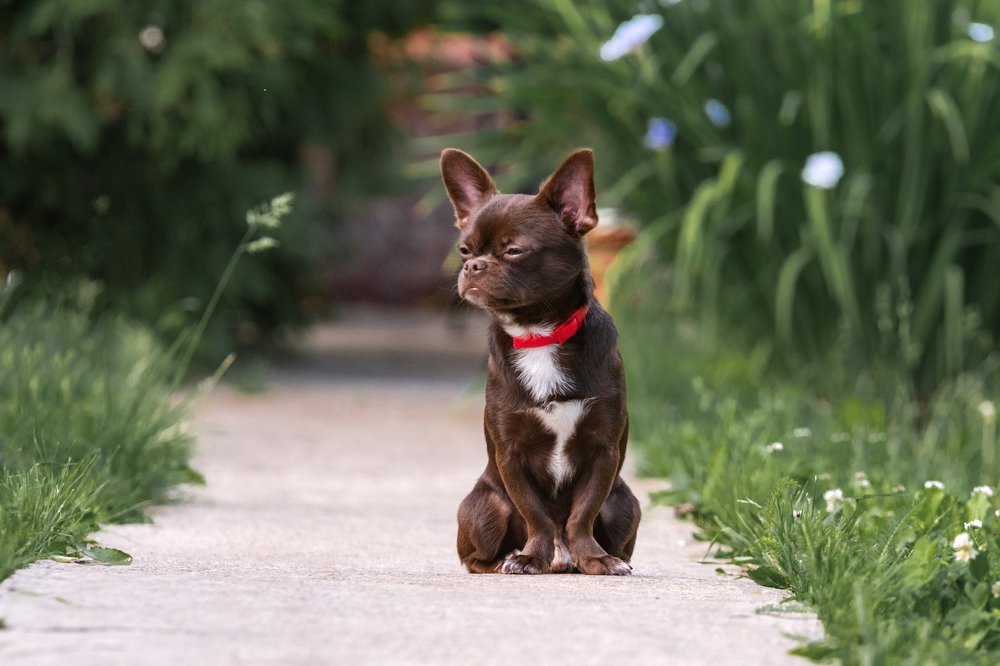 Photograph by Демьян Лопатов