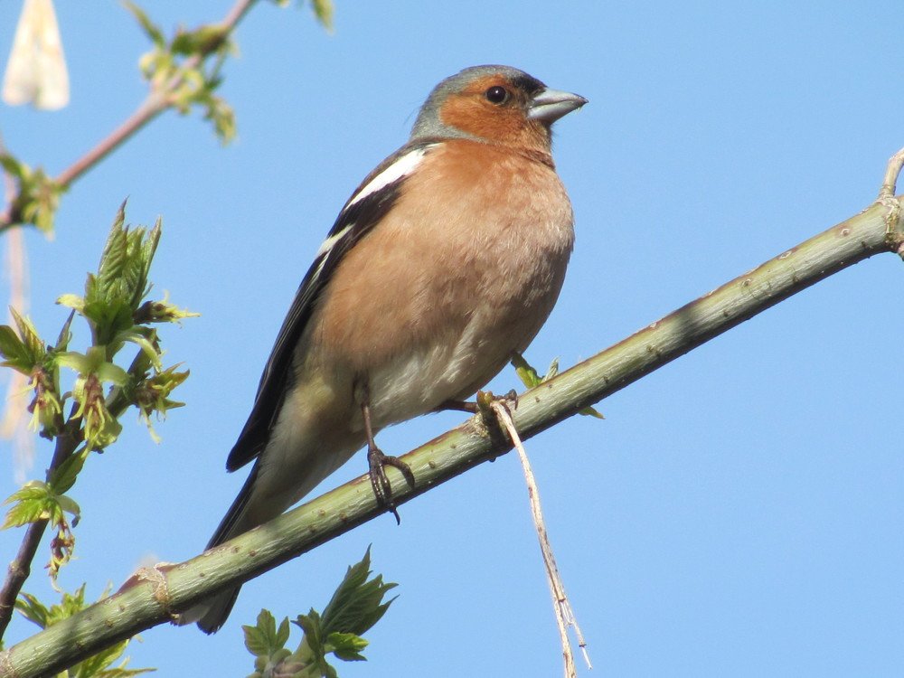 Photograph by Юлия