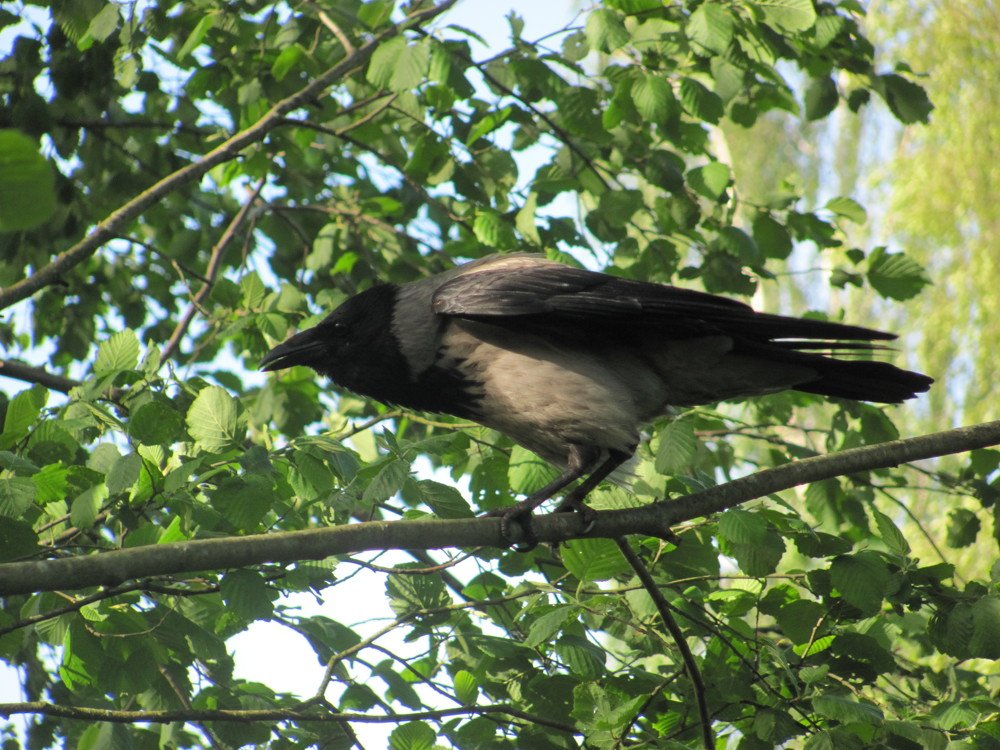 Photograph by Юлия