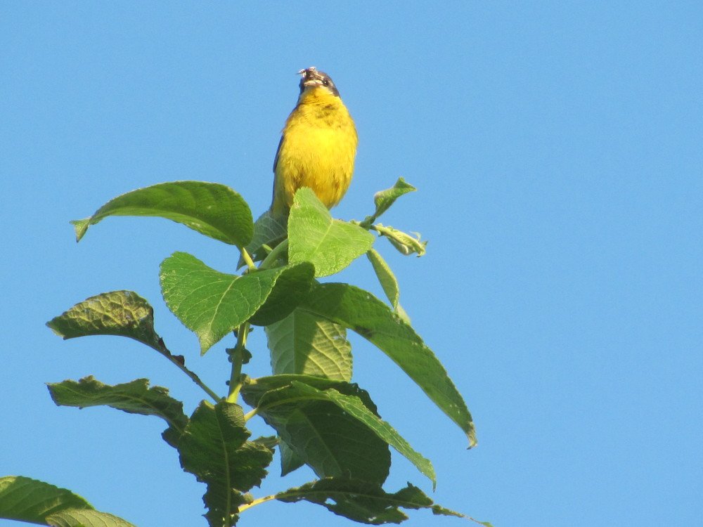 Photograph by Юлия