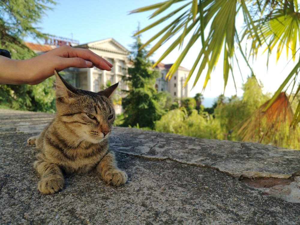 Photograph by Ирина Алексеевская