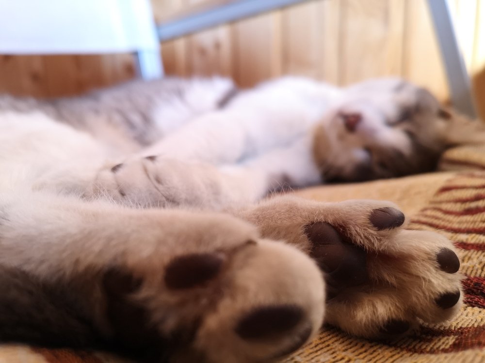 Photograph by Ирина Алексеевская