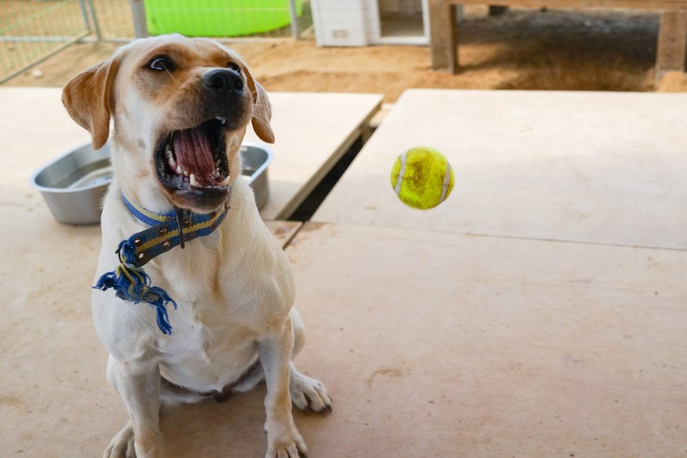 Photograph by Lola Vierse