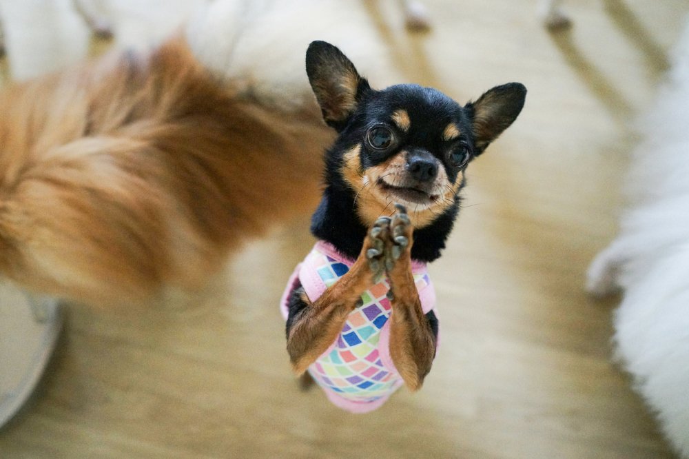 Photograph by Lola Vierse