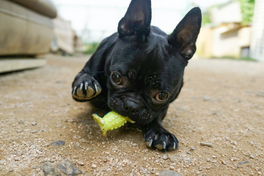 Photograph by Lola Vierse