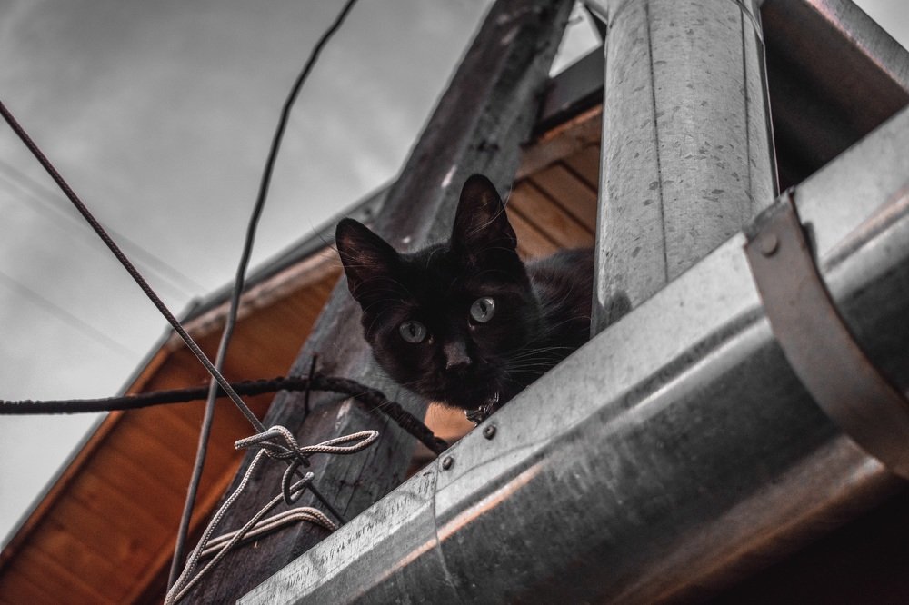 Photograph by Иштван Шандор