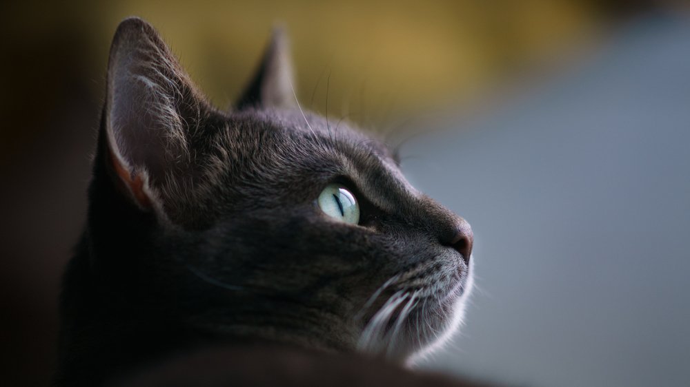 Photograph by Семенюк Василий