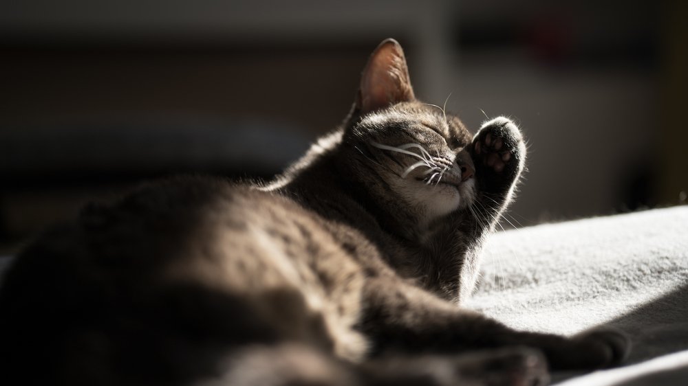 Photograph by Семенюк Василий