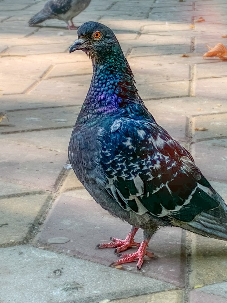 Наши соседи