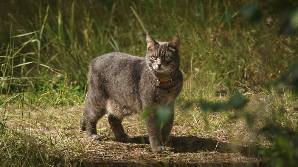 Photograph by Семенюк Василий