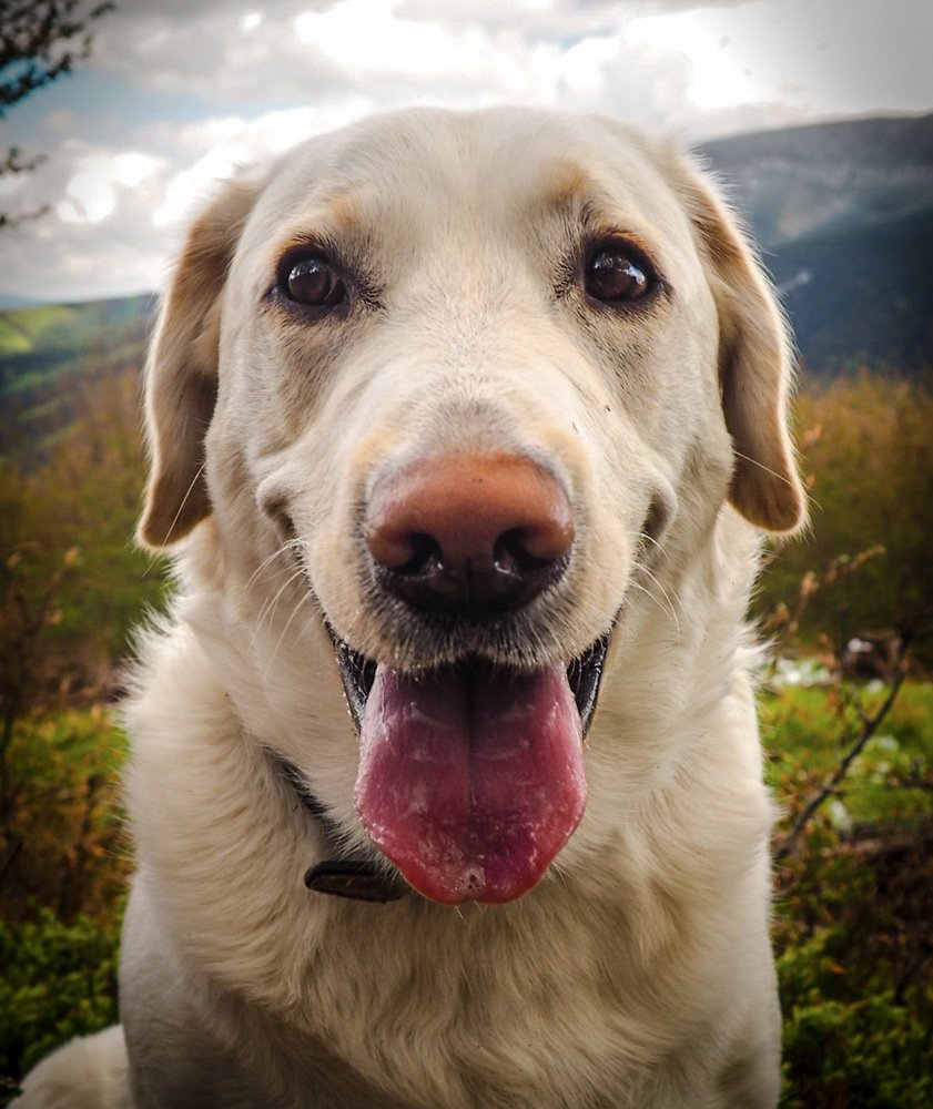 Photograph by Petr Kočica