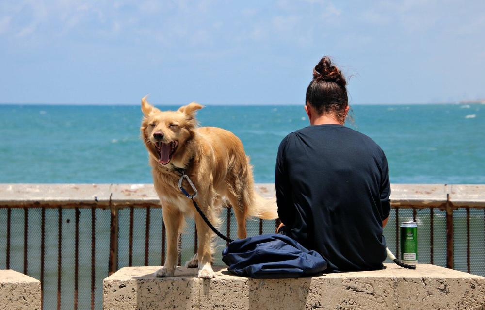 Photograph by Irina Radzinskaya