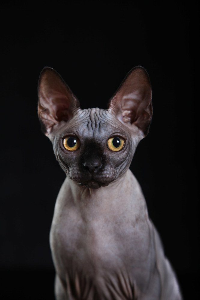 Photograph by Анастасия Чугунова