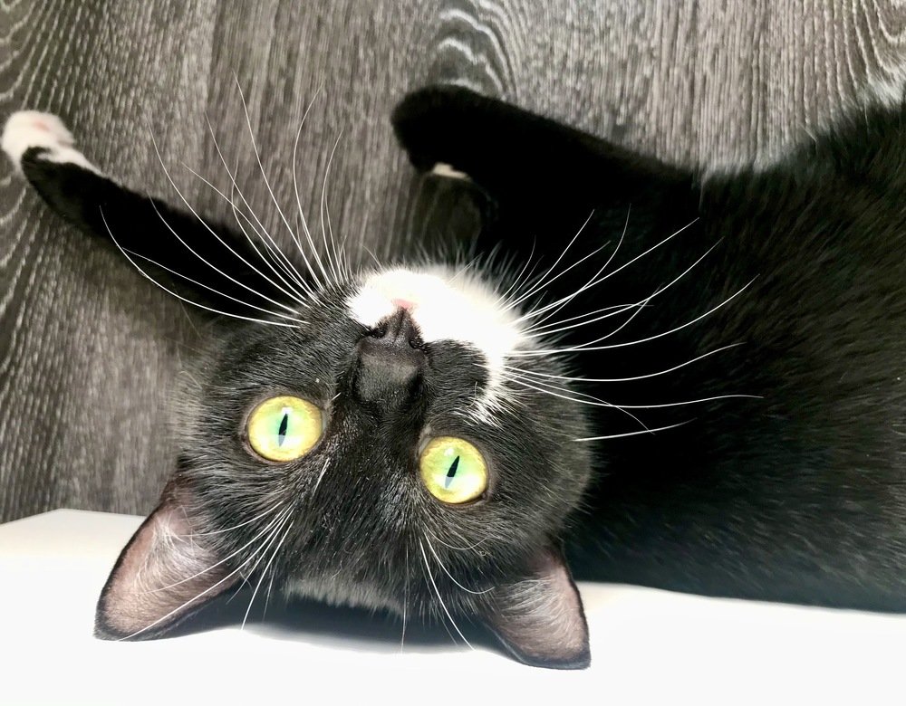 Photograph by Мария Шрейдер